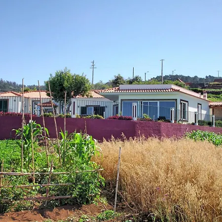 Ourmadeira - Theo's House, Secluded
